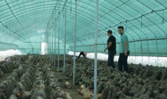 驻马店市质检中心开展2017年农产品质量安全第三次例行监测工作