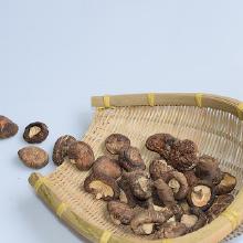 其他新鲜农产品市场概况 批发、价格与厂家分析