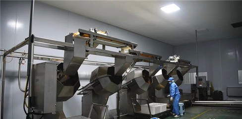 谷城县石花镇 培育壮大特色农产品深加工 推动农业产业链做大做强