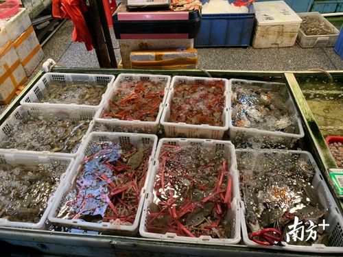 探营佛山农产品批发市场 复工复产之路上的坚守与希望