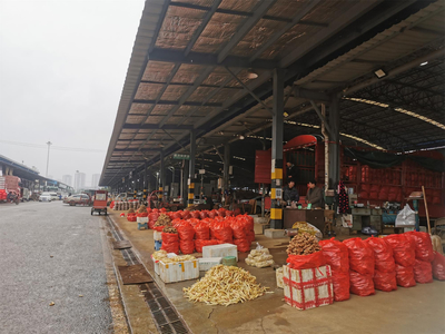 春节“菜篮子”供应充足，双福国际农贸城假期交易量近5万吨保民生