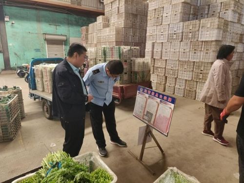 强化源头管控，守护百姓餐桌——莱阳市开展农产品批发市场专项监督检查